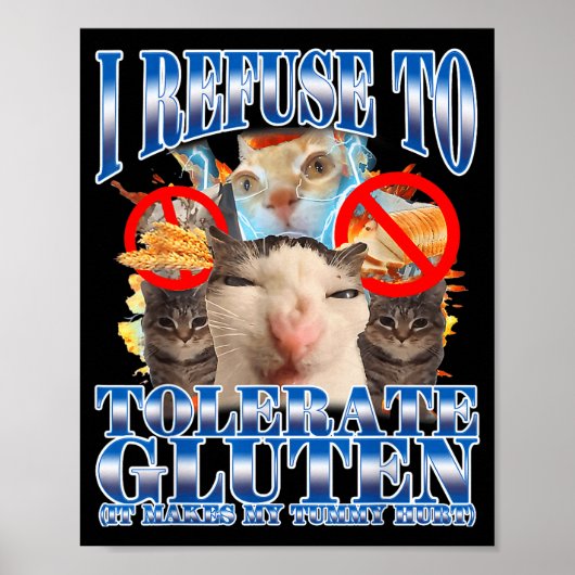 Poster Humour drôle Je refuse de tolérer Mème de chat au (Devant)