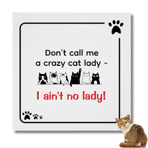 Poster Humour Irreverencieux Dame aux chats folles
