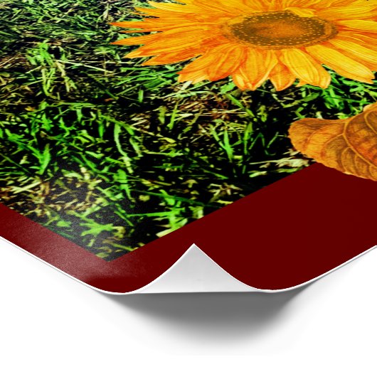 Poster Humour - Vie de campagne — Rehoming Strays (Coin)