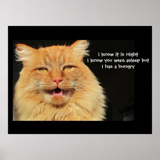 Poster Hungry Talking Cat haiku (Devant)