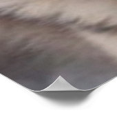 Poster Husky (Coin)
