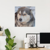 Poster Husky (Bureau à domicile)