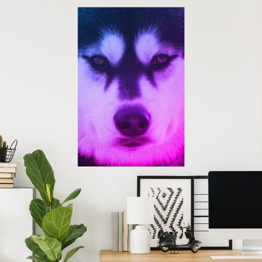 Poster Husky (Bureau à domicile)
