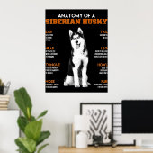 Poster Husky | Anatomie Des Chiens Husky Sibériens (Bureau à domicile)