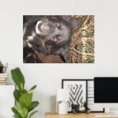Poster Husky Collie Kruising (Thuiskantoor)