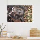 Poster Husky Collie Kruising (Keuken)