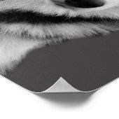 Poster Husky Love (Coin)