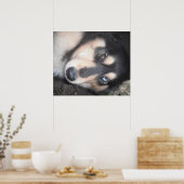Poster Husky One Blue Eye One Brown Eye (Cuisine)