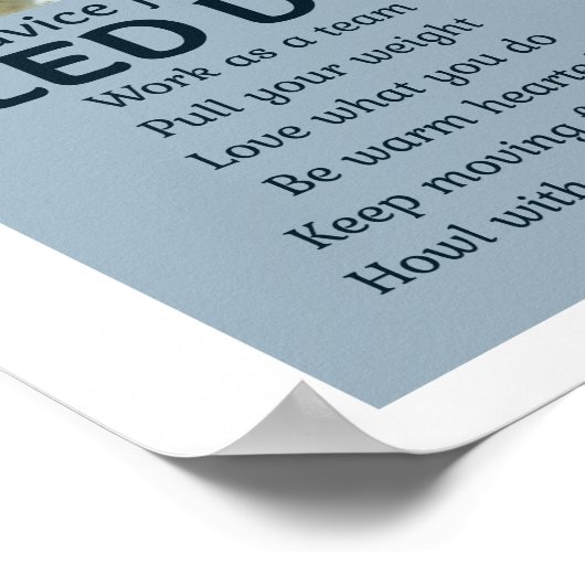 Poster Husky Sledding Sled Chig Racing Alaskan Racers (Coin)