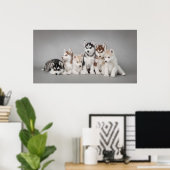 Poster Huskys (Bureau à domicile)
