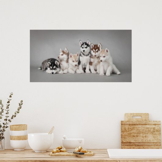 Poster Huskys (Cuisine)