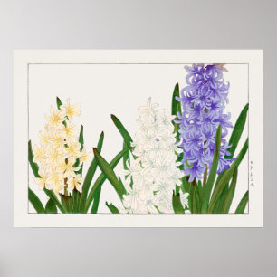 Poster Hyacinthe, blanc violet et fleurs jaunes de Konan,