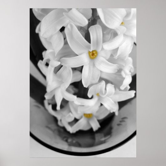 Poster hyacinthe en noir et blanc (Devant)