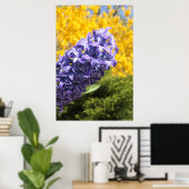 Poster Hyacinthe et Forsythie (Bureau à domicile)