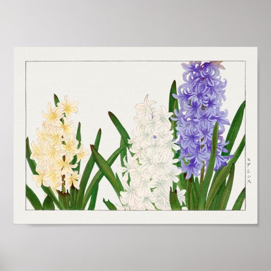 Poster Hyacinthe par Tanigami Konan (Devant)