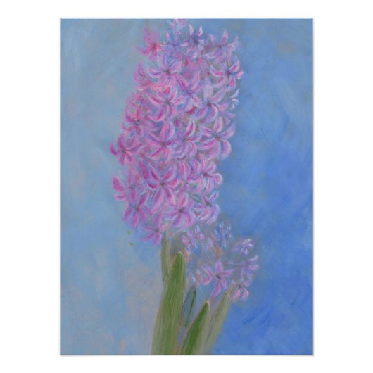 Poster Hyacinthe rose Lilac (Devant)