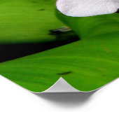 Poster Hyacinthe violette (Coin)