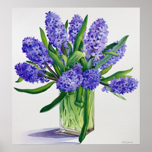 Poster Hyacinthes bleus (Devant)