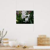 Poster Hyacinthes et gouttes d'eau Imprimer (Cuisine)