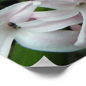 Poster Hyacinthes Imprimer (Coin)