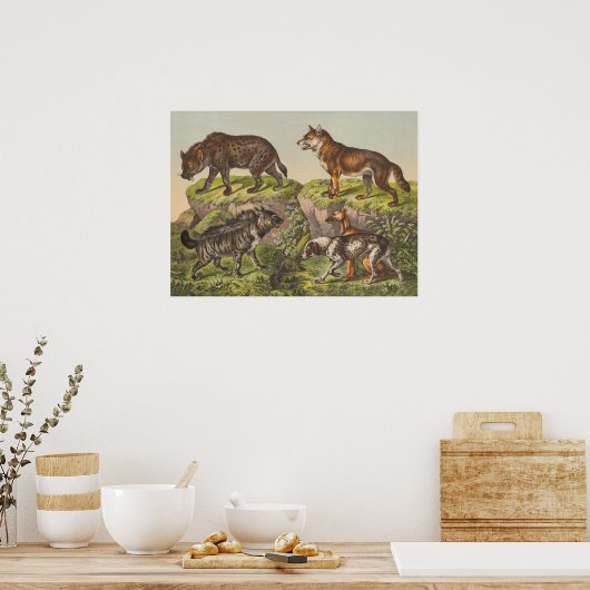 Poster Hyaena (Hyena), Wolf et Chiens (Cuisine)