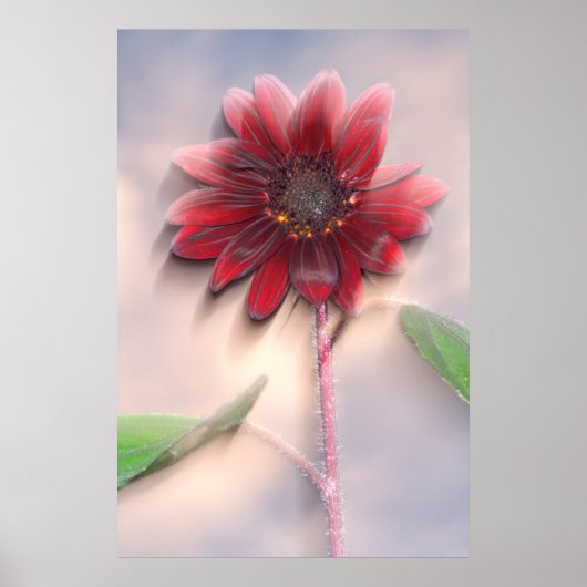 Poster Hybrid sunflower blowing in the wind (Devant)