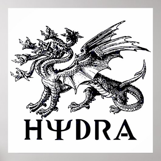 Poster Hydra (Devant)