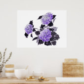 Poster Hydrangea (Cuisine)