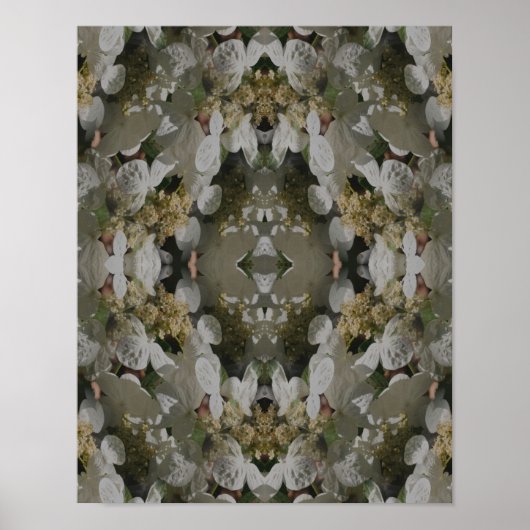 Poster Hydrangea à capuchon de dentelle blanche Miroir Fl (Devant)