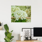 Poster Hydrangea blanc (Bureau à domicile)