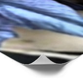 Poster Hydrangea BLEU (Coin)