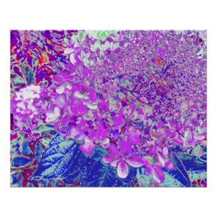 Poster Hydrangea élégant violet et bleu limelight