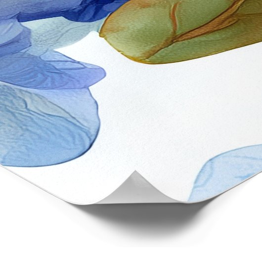 Poster Hydrangea et fleur de cerisiers (Coin)