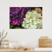 Poster Hydrangea fleurit dans le violet foncé et blanc (Cuisine)