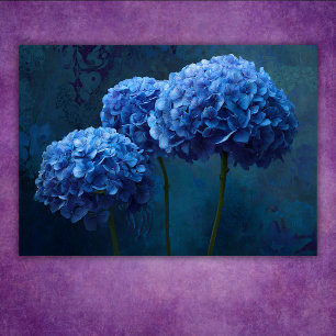Poster Hydrangea Floral Botanique Bleu Gras Dramatique