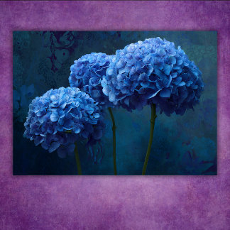 Poster Hydrangea Floral Botanique Bleu Gras Dramatique