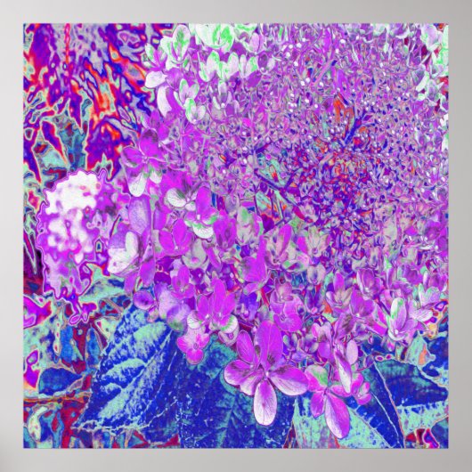 Poster Hydrangea Limelight Élégant Violet et Bleu (Devant)