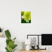 Poster Hydrangea Limelight Vert Chartreuse Élégant (Bureau à domicile)