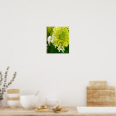 Poster Hydrangea Limelight Vert Chartreuse Élégant (Cuisine)