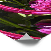 Poster Hydrangea Love... (Coin)