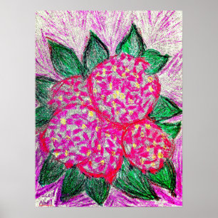 Poster Hydrangea macrophylla
