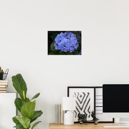 Poster Hydrangea macrophylla violette rustique (Bureau à domicile)