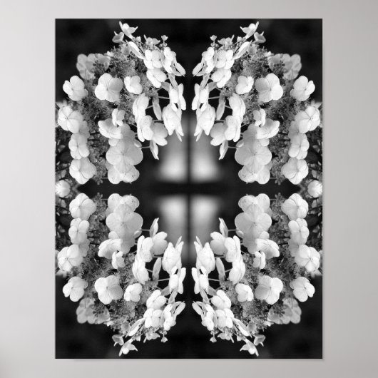 Poster Hydrangea Noir Et Blanc Miroir Abstrait (Devant)