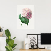 Poster Hydrangea par Pierre-Joseph Redouté (1759–1840) (Bureau à domicile)