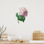 Poster Hydrangea par Pierre-Joseph Redouté (1759–1840) (Cuisine)