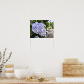 Poster Hydrangeas by the Roadside – Nature Photography (Cuisine)