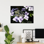Poster Hydrangeas Élégantes (Bureau à domicile)