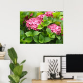 Poster Hydrangeas en fleurs (Bureau à domicile)