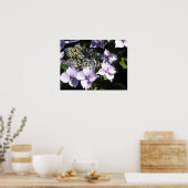 Poster Hydrangeas Mauves Élégants (Cuisine)