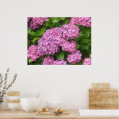 Poster Hydrangeas Rose Foncé (Cuisine)